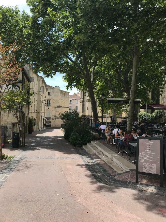 Superbe ! Appart T2 - Centre Historique & Tram - Situation Ideale Apartamento Montpellier Exterior foto