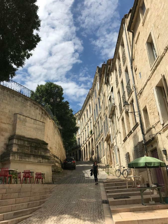 Superbe ! Appart T2 - Centre Historique & Tram - Situation Ideale Apartamento Montpellier Exterior foto