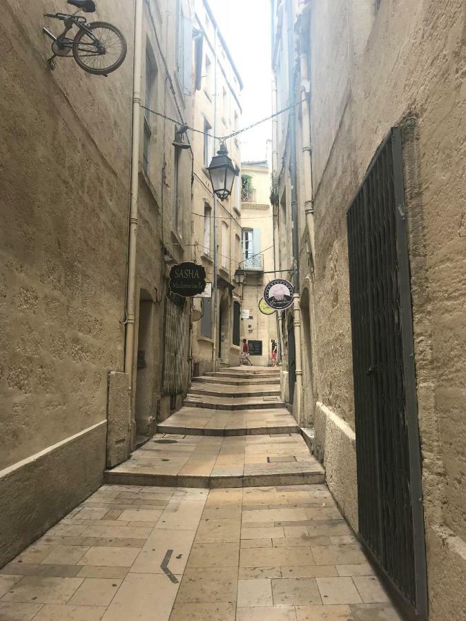 Superbe ! Appart T2 - Centre Historique & Tram - Situation Ideale Apartamento Montpellier Exterior foto