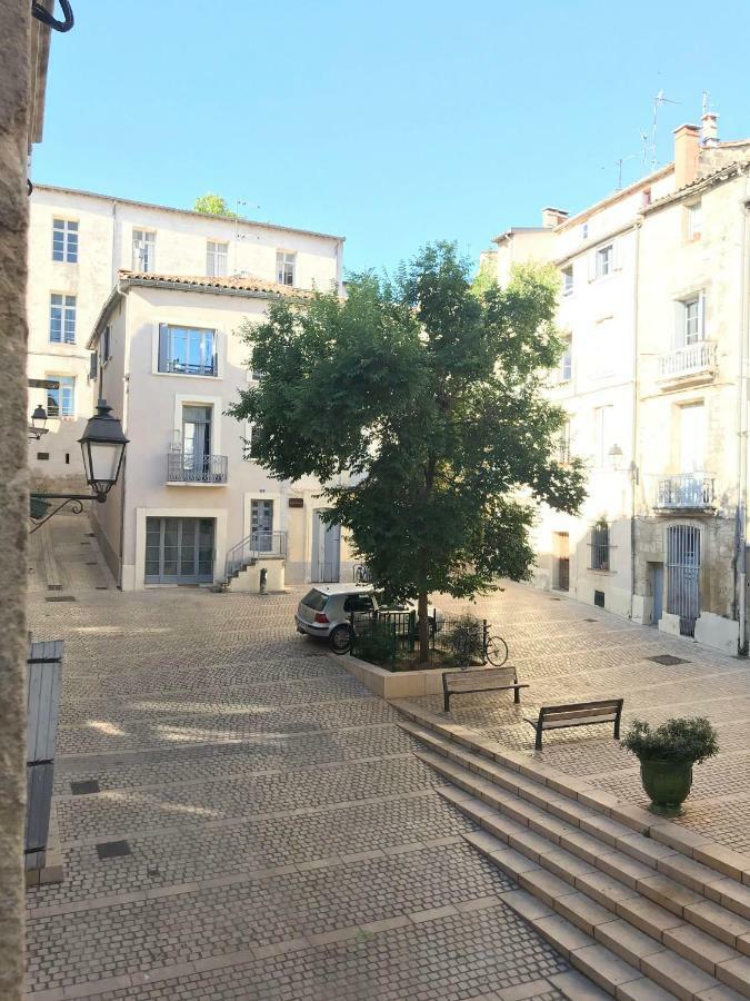 Superbe ! Appart T2 - Centre Historique & Tram - Situation Ideale Apartamento Montpellier Exterior foto