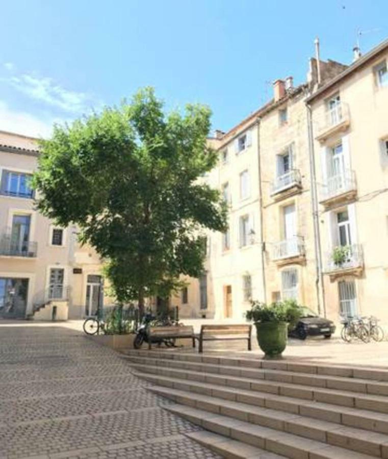 Superbe ! Appart T2 - Centre Historique & Tram - Situation Ideale Apartamento Montpellier Exterior foto